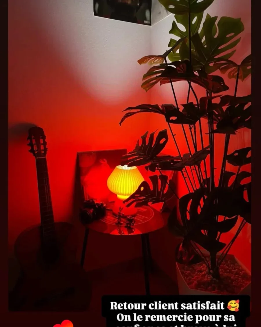 Un Champignon qui baigne un coin de salon de rouge